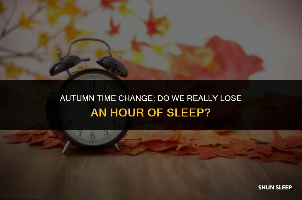 do wr lose an hour of sleep at fall dls