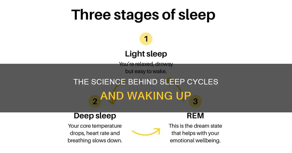 do you always wake up after a sleep cycle