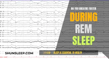 Breathing During REM Sleep: Faster or Slower?