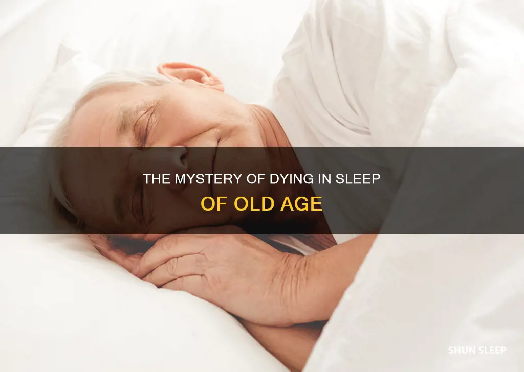 do you die in your sleep of old age