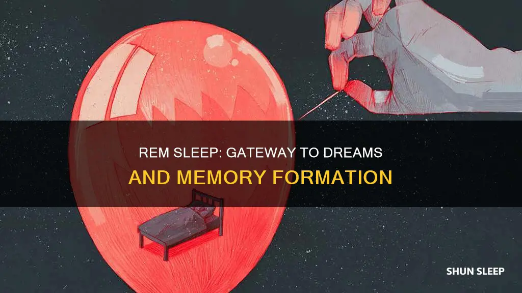 do you dream in rem or light sleep