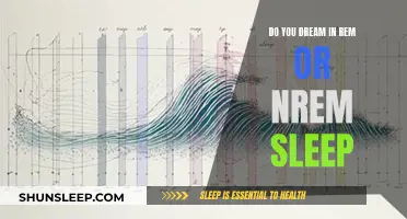 Understanding REM and NREM Sleep: The Dream States Explained