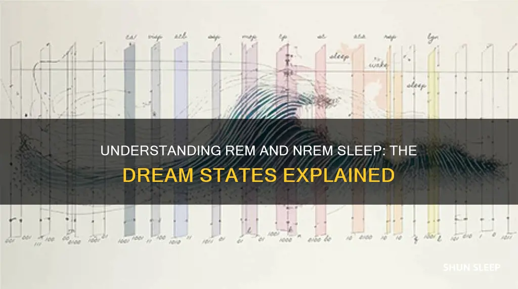 do you dream in rem or nrem sleep