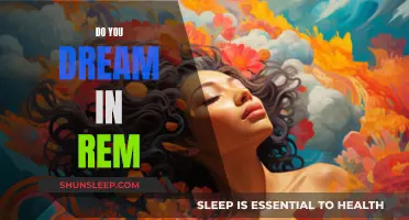 Unlocking the Mystery of REM Sleep and Dreams