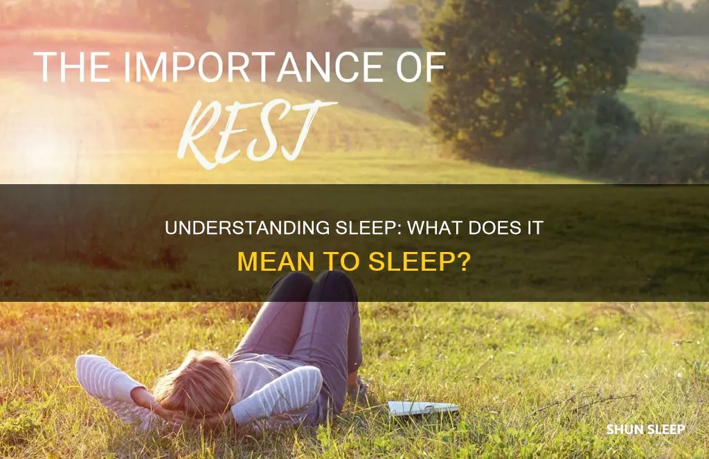 do you ever sleep meaning