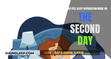 Sleep Deprivation: The Second-Day Slump Explained