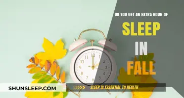 Fall Back to Comfort: The Extra Hour of Sleep You Crave