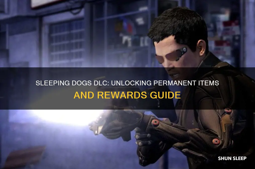 do you get any permanent items from sleeping dogs dlc