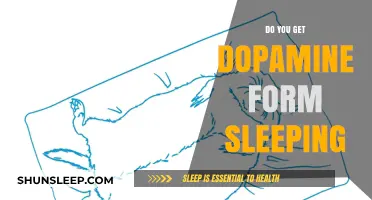 Sleep and Dopamine: Unraveling the Brain's Reward During Rest