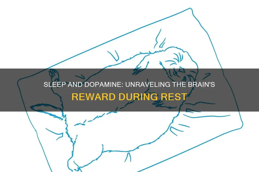 do you get dopamine form sleeping