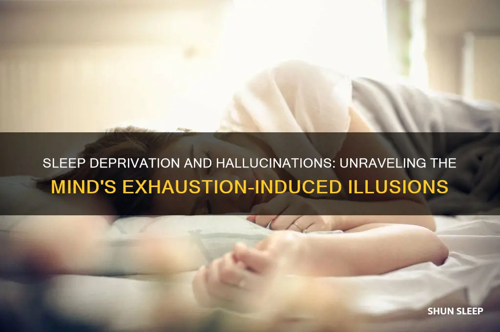 do you get hallucinations from not sleeping