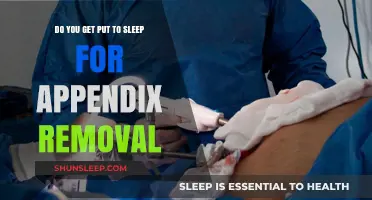 Appendix Removal Surgery: Understanding Anesthesia and Sedation Options
