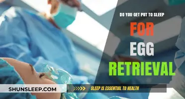 Egg Retrieval Procedure: Understanding Anesthesia and Sedation During the Process