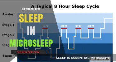 Microsleep and REM Sleep: Unraveling the Mystery of Brief Rest