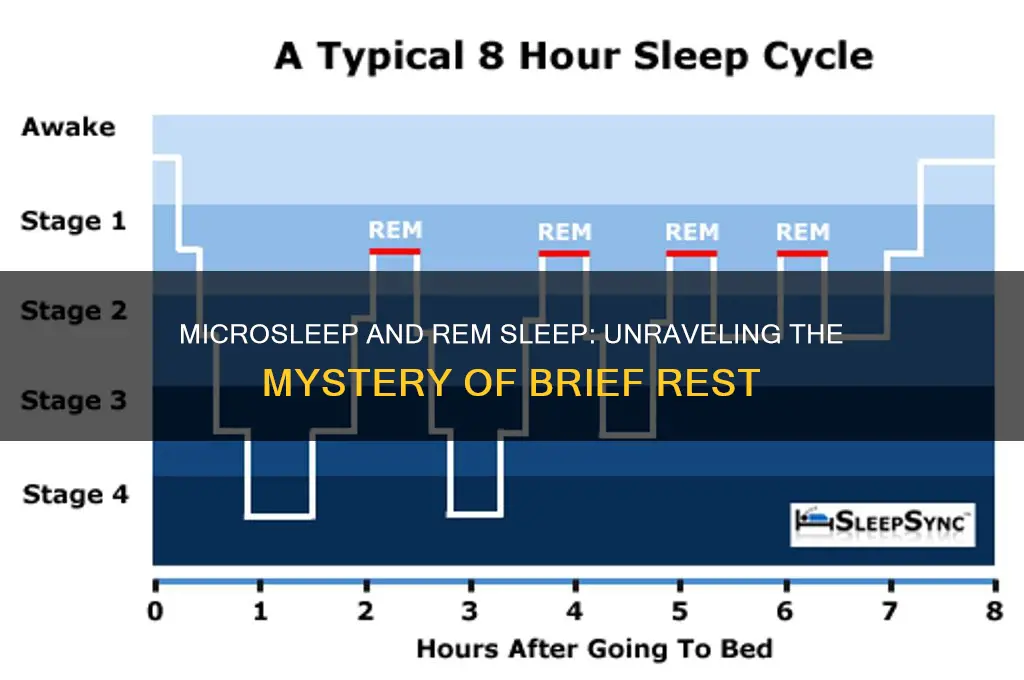 do you get rem sleep in microsleep