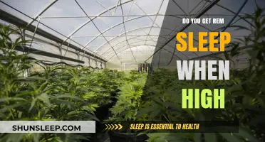 High on Cannabis: How Does It Affect REM Sleep Cycles?