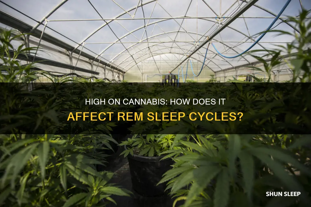 do you get rem sleep when high