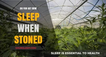 Stoned Sleep: Does Cannabis Affect REM Sleep Cycles?