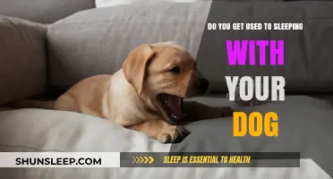Sleeping with Your Dog: Adjusting to the New Bedtime Routine