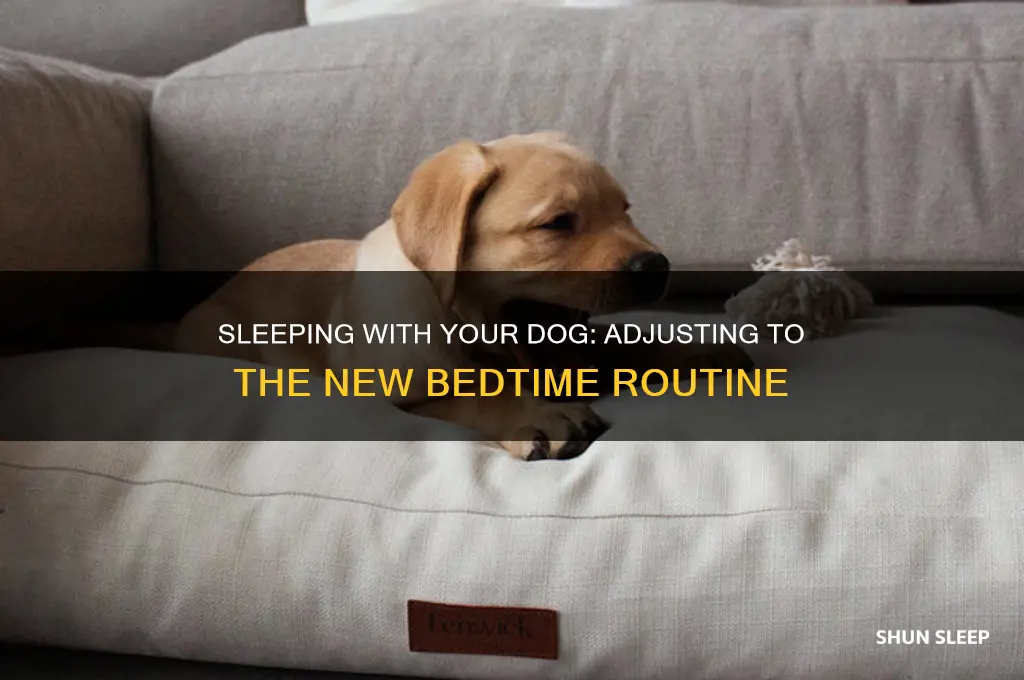 do you get used to sleeping with your dog