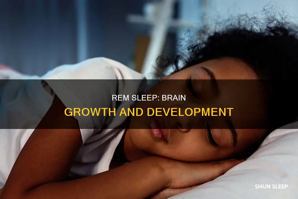 do you grow during rem sleep