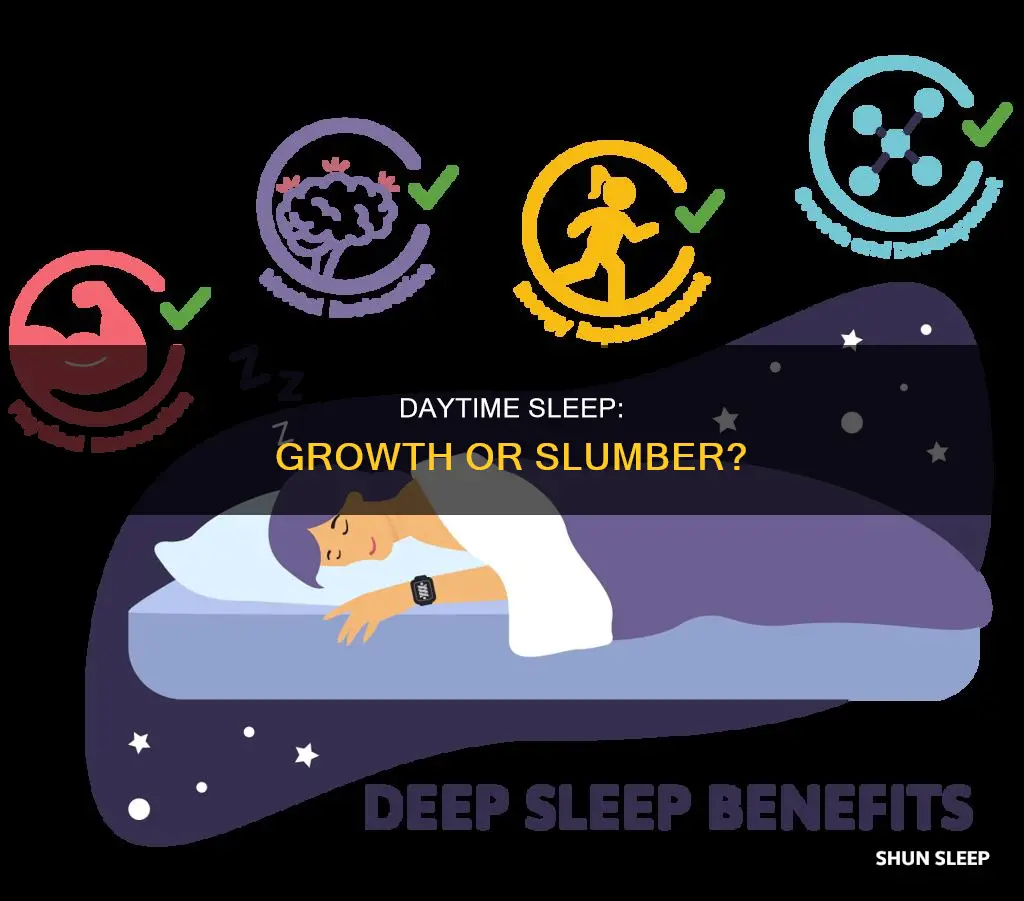 do you grow if you sleep during the day