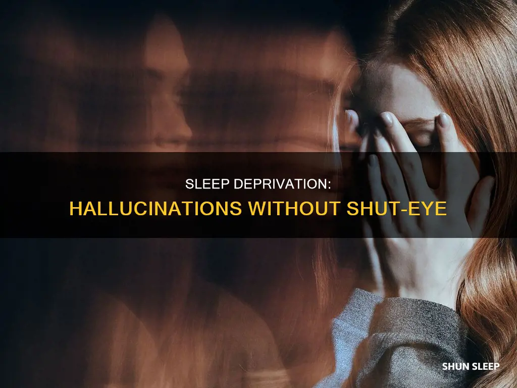 do you hallucinate without sleep