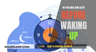 Understanding REM Sleep: The Pre-Wake Up Brain Activity