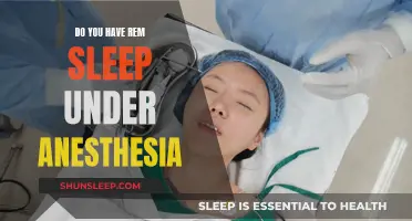 Anesthesia and Sleep: The REM Cycle Mystery