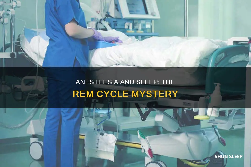 do you have rem sleep under anesthesia