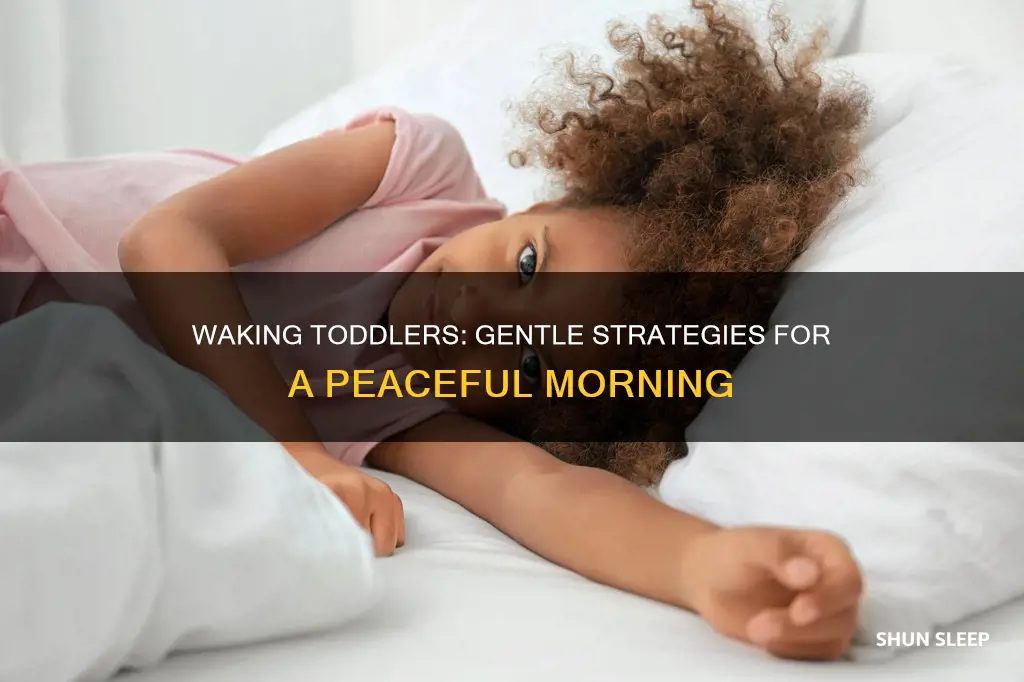 do you have to fully wake a sleeping toddler