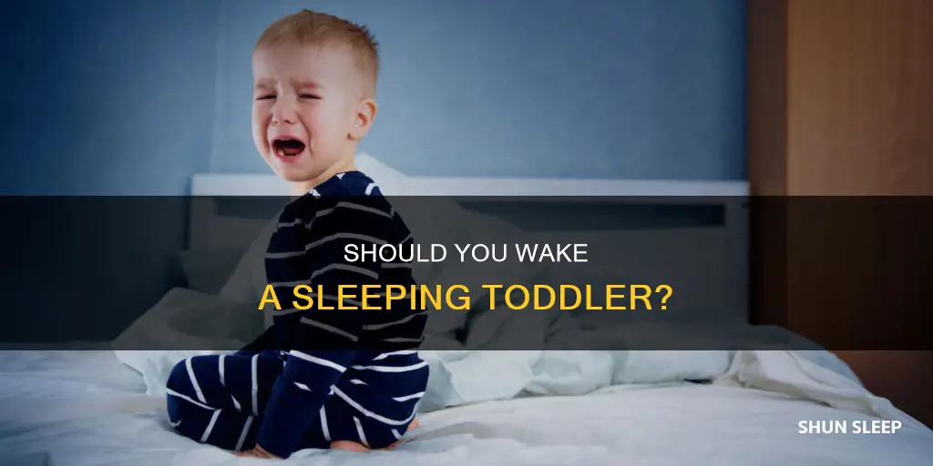 do you have to fully wake a sleeping toddler