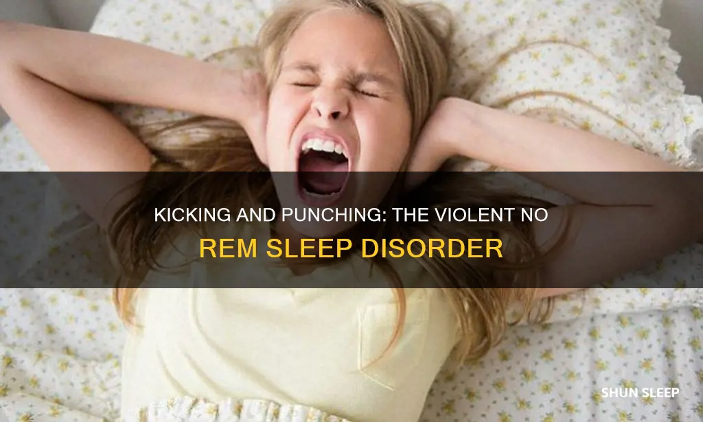 do you kick and punch during no rem sleep