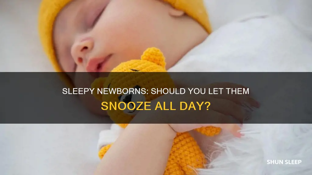 do you let your 6 week old sleep all day