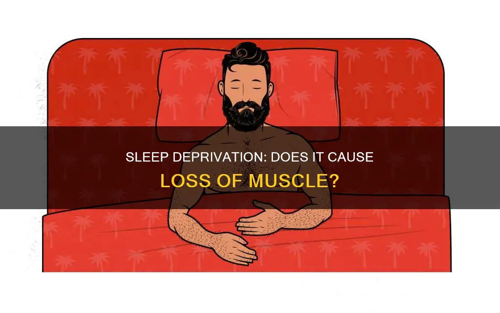 do you lose muscle if you don t sleep