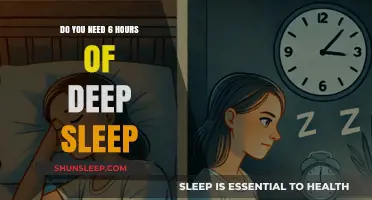 Unlocking Productivity: The Myth of 6 Hours of Deep Sleep