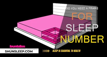 Sleep Number Bed: Framing the Question of Support