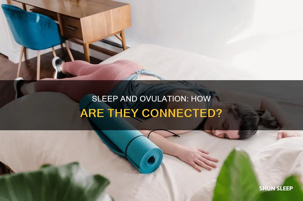 do you need more sleep following ovulation