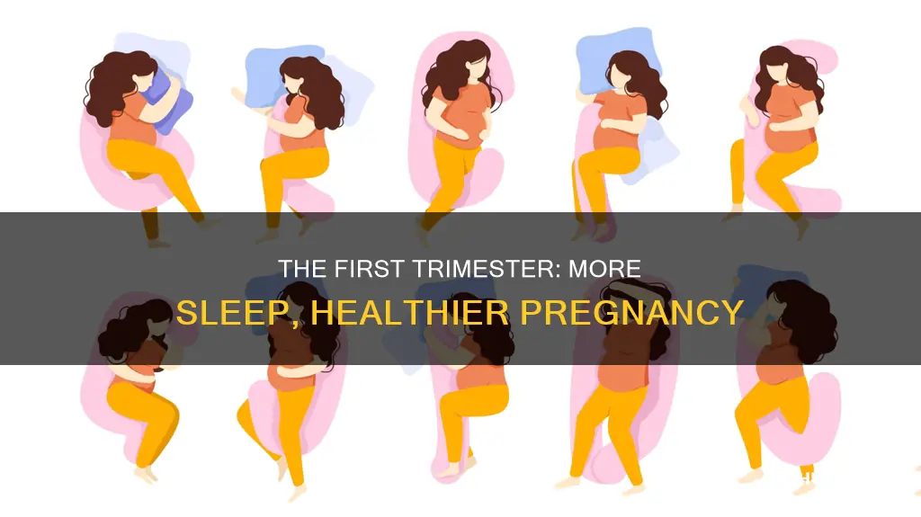 do you need more sleep in first trimester
