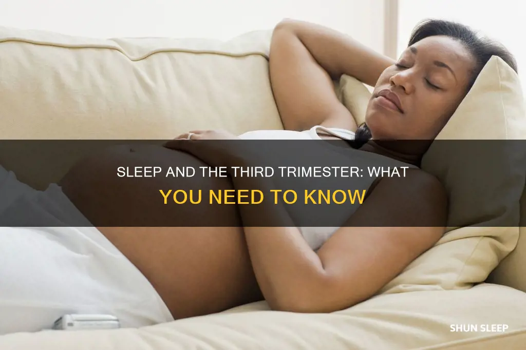 do you need more sleep in third trimester