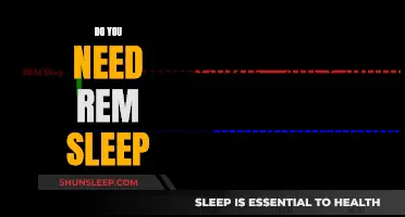 Understanding REM Sleep: Essential or Overrated?