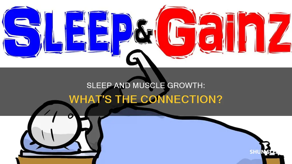 do you need sleep for muscle growth