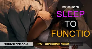 Sleep: Essential for Function or Waste of Time?