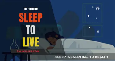 Sleep: Essential for Life or Unnecessary Function?