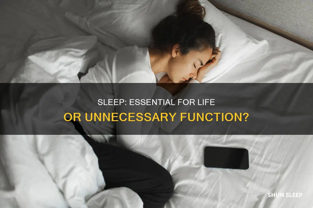 do you need sleep to live