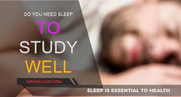 Sleep and Studying: The Ultimate Guide to Success