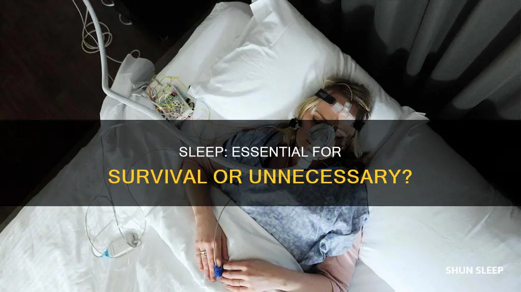 do you need sleep to survive