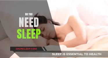 Sleep: A Necessary Evil or Essential Need?