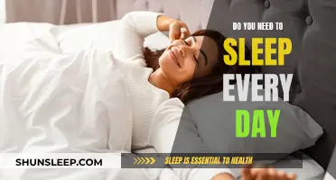 Sleep: A Daily Necessity or a Waste of Time?