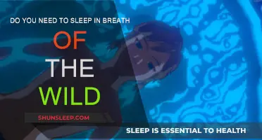 Breath of the Wild: Sleep, a Necessary Evil?